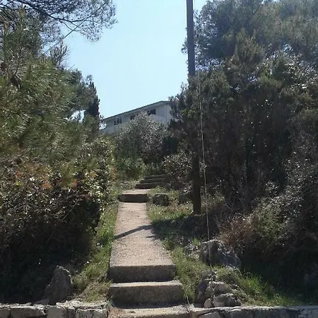 Djani Jelsa (Hvar)