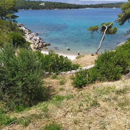 Djani Jelsa (Hvar)