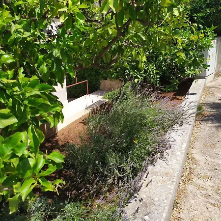 Daire Djani Jelsa (Hvar)