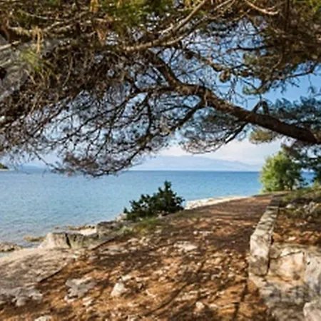 Djani Διαμέρισμα