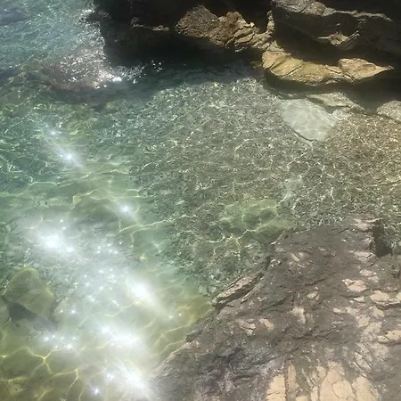 Djani *