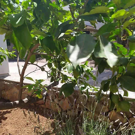 Διαμέρισμα Djani *